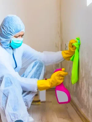 Person cleaning a moldy wall.