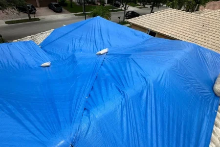 911moldllc mold remediation tarping