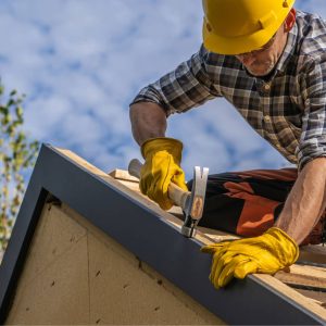 Moisture Mapping cedar-shake-roof-new.jpg